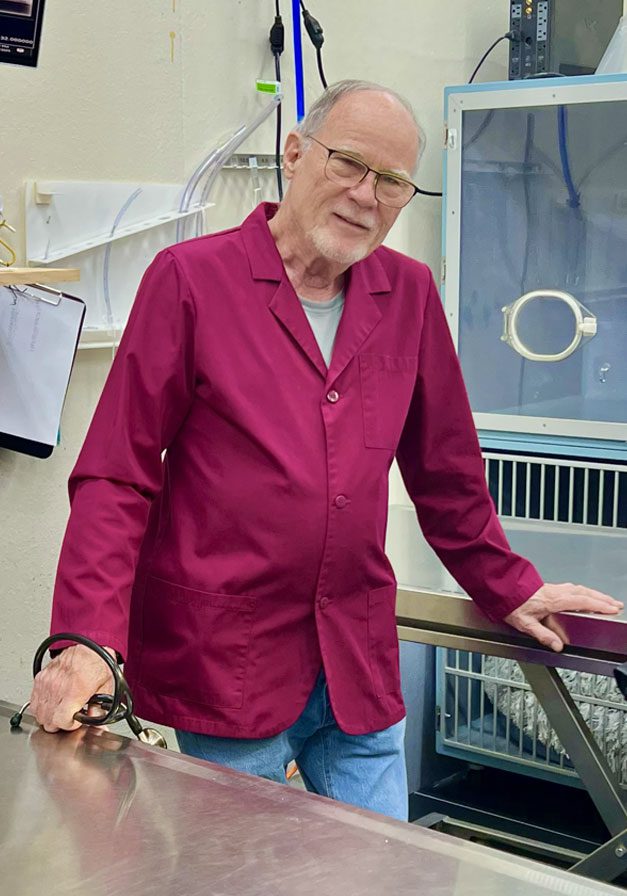 veterinarian Dr. Carver In Surgery Rrom