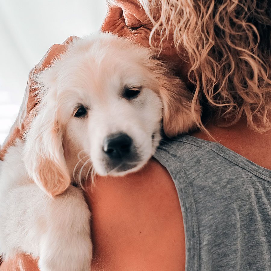 emergency-veterinarian-plano-tx pet owner holds sick puppy over shoulder