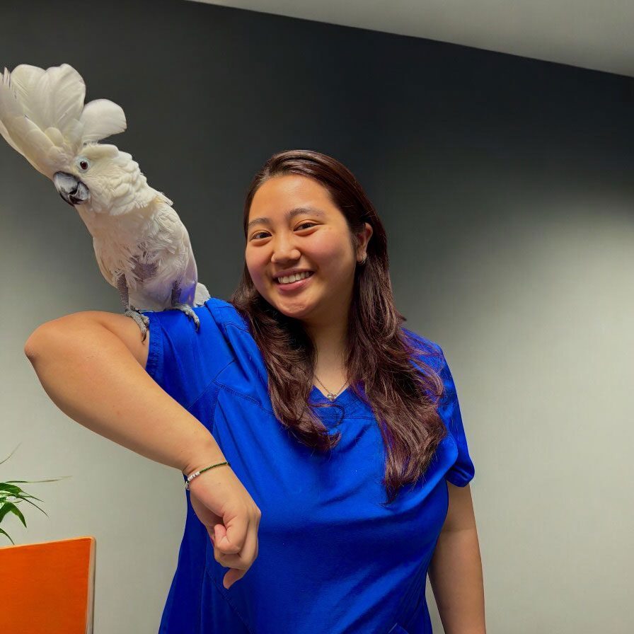 exotic-animal-vet-plano-tx Vet Assistant With Bird On Shoulder